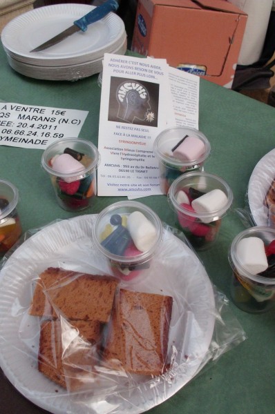29-10-2011 08h 13FETE VENDANGES011.jpg